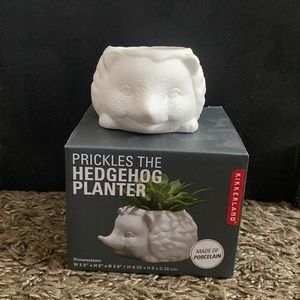 Ceramic hedgehog planter small